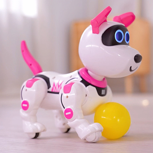 Robo Raff - Afbeelding 9