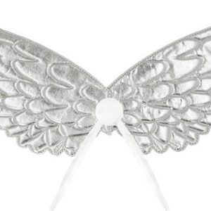 Engelenvleugels aurora – Zilver