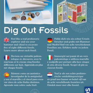 Kosmos – Dig out Fossils