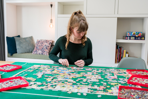 Puzzelsorteerder (sorteerlade) - Afbeelding 6