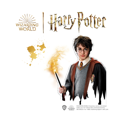 SES Creative - Harry Potter strijkkralen set - Afbeelding 4
