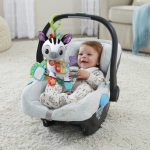 VTech – Knuffel en Speel Zebra