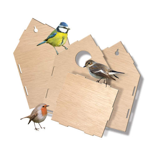 SES Creative - Explore Vogelhuis - Afbeelding 5
