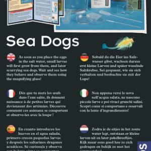 Kosmos – Fun Science – Sea Dogs