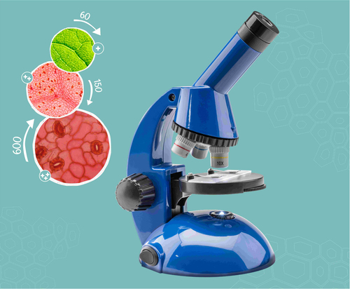 Kosmos Fun Science - My Discovery Microscope - Afbeelding 4