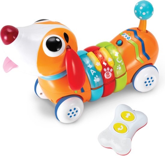 R/c Rainbow Pup
