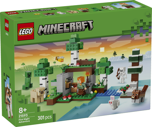 LEGO Minecraft - Eerste Nacht-Avontuur 21593 - Afbeelding 9