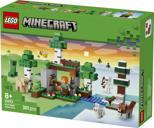 LEGO Minecraft - Eerste Nacht-Avontuur 21593 - Afbeelding 10
