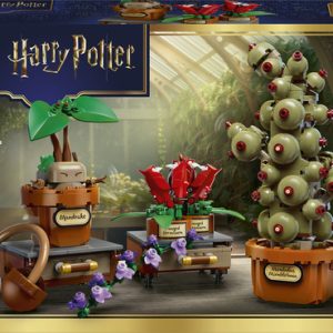 LEGO Harry Potter Zweinstein Kruidenkunde Planten Bouwbaar Speelgoed voor K