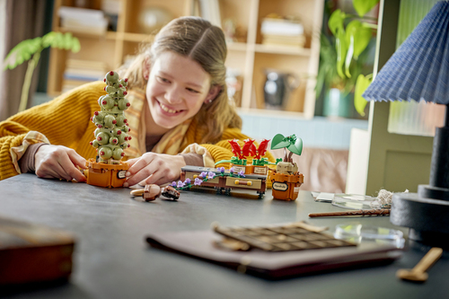 LEGO Harry Potter Zweinstein Kruidenkunde Planten Bouwbaar Speelgoed voor K - Afbeelding 4