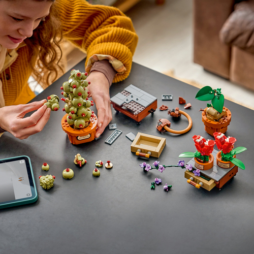 LEGO Harry Potter Zweinstein Kruidenkunde Planten Bouwbaar Speelgoed voor K - Afbeelding 5