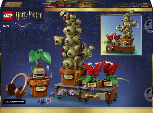 LEGO Harry Potter Zweinstein Kruidenkunde Planten Bouwbaar Speelgoed voor K - Afbeelding 6