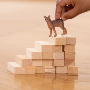 Schleich Farm World – Abessijn kat