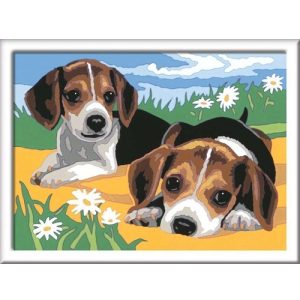 CreArt Junior Schilderen op nummer – Beagle Puppies