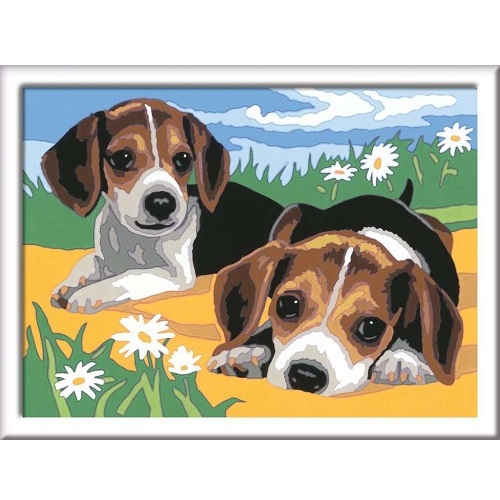 CreArt Junior Schilderen op nummer - Beagle Puppies