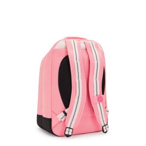 Kipling Rugzak Class Room – Coral Sea