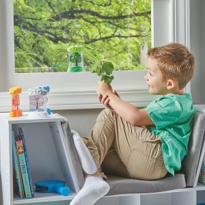 Learning Resources – Sensory Tubes wisselende seizoenen