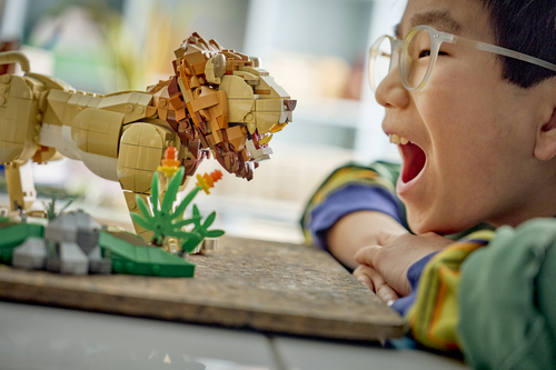 LEGO Creator 3in1 - Wilde Dieren: Majestueuze Leeuw 31386 - Afbeelding 3