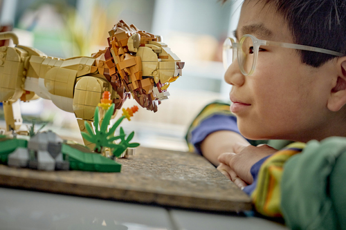 LEGO Creator 3in1 - Wilde Dieren: Majestueuze Leeuw 31386 - Afbeelding 4