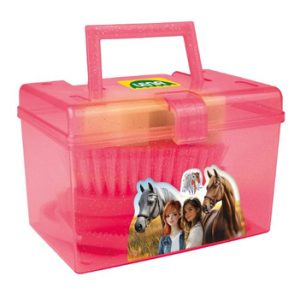 lena verzorgingsbox met hobby horsing accesoires