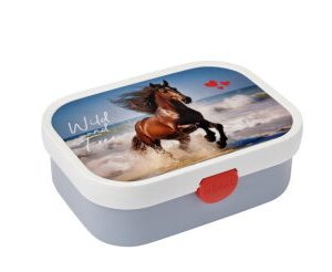 Lunchbox campus – Wild horse