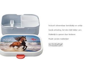 Lunchbox campus – Wild horse