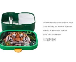 Lunchbox campus – Wild tiger
