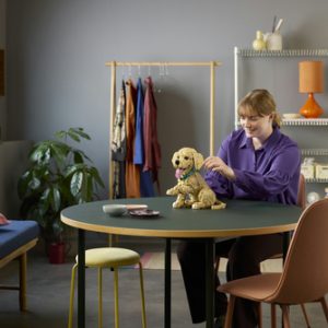 LEGO – Golden retriever puppy