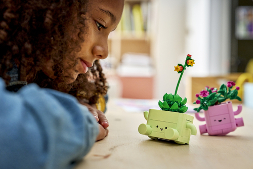 LEGO Botanicals Schommelende Plantjes - 11506 - Afbeelding 4