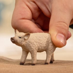 Schleich Farm World  – Wolvarken biggetje