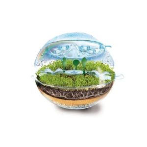 Wetenschap en spel – Ecosfeer