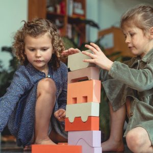 Moes Play – Puzzle Blocks Earth