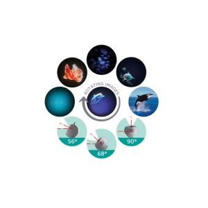 Kidywolf – Kidystar Hd Planetarium – Ocean