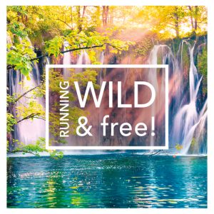 Tactic Puzzel Waterfalls 1000st