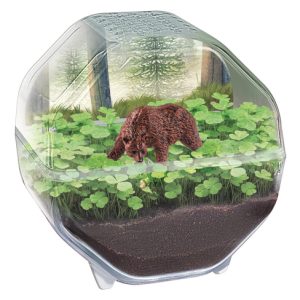 Wetenschap & Spel – Clementoni – My Wild Terrarium Bear