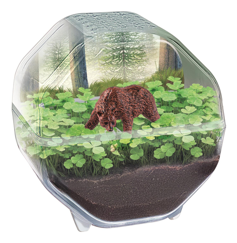 Wetenschap & Spel - Clementoni - My Wild Terrarium Bear - Afbeelding 2