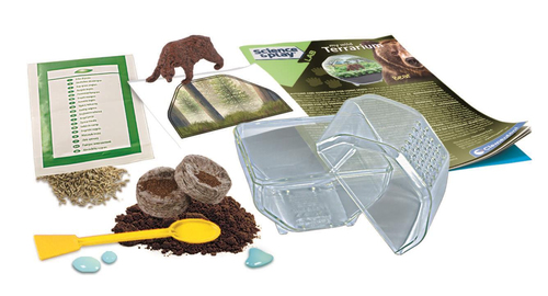 Wetenschap & Spel - Clementoni - My Wild Terrarium Bear - Afbeelding 3