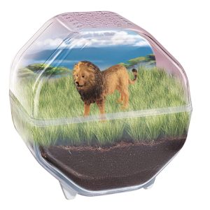 Wetenschap & Spel – Clementoni – My Wild Terrarium Lion