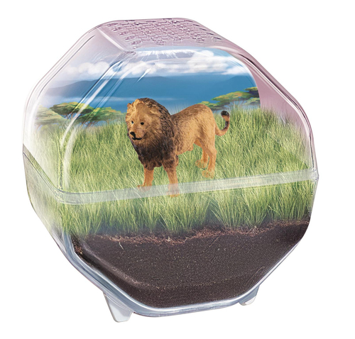 Wetenschap & Spel - Clementoni - My Wild Terrarium Lion - Afbeelding 2