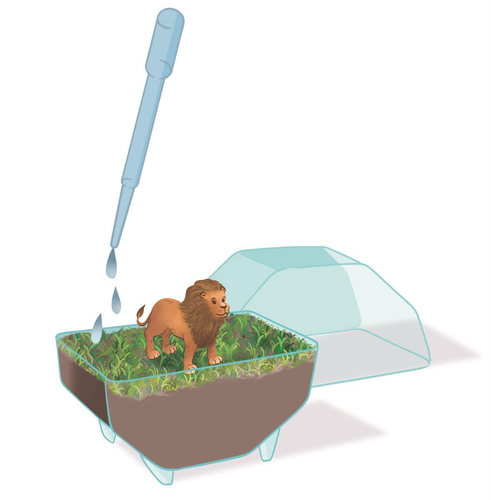 Wetenschap & Spel - Clementoni - My Wild Terrarium Lion - Afbeelding 6
