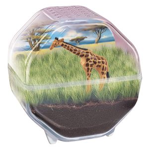 Wetenschap & Spel – Clementoni – My Wild Terrarium Giraffe