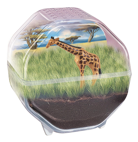 Wetenschap & Spel - Clementoni - My Wild Terrarium Giraffe - Afbeelding 2