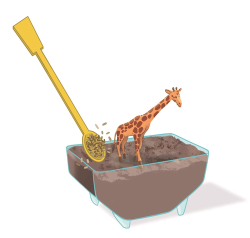 Wetenschap & Spel - Clementoni - My Wild Terrarium Giraffe - Afbeelding 6