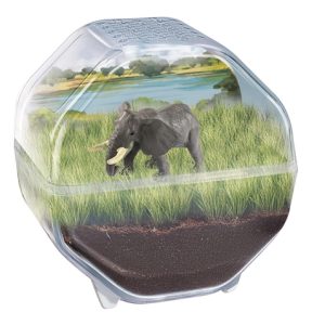 Wetenschap & Spel – Clementoni – My Wild Terrarium Elephant