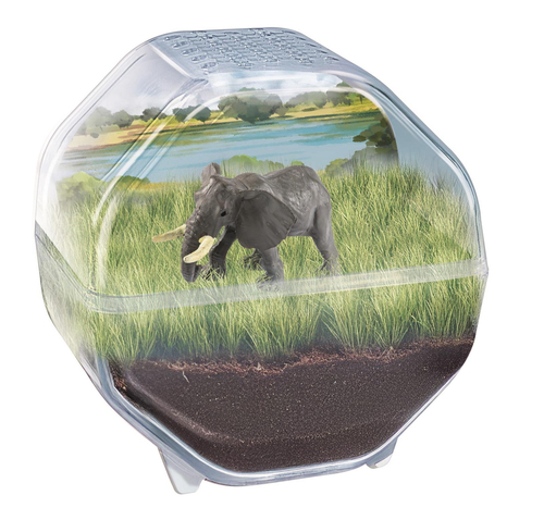 Wetenschap & Spel - Clementoni - My Wild Terrarium Elephant - Afbeelding 2