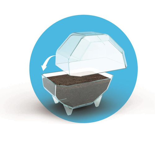 Wetenschap & Spel - Clementoni - My Wild Terrarium Elephant - Afbeelding 7