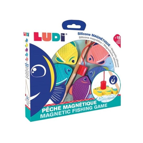 Ludi Magnetisch Vissersspel