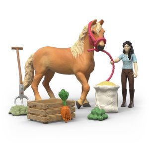 Schleich Horse Club Emilys Verzorgingset