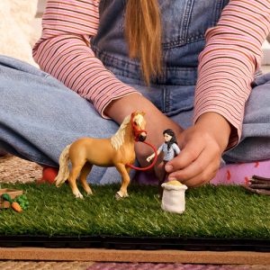 Schleich Horse Club Emilys Verzorgingset